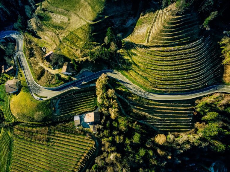 Itinerario tra le Colline del Prosecco UNESCO: cosa vedere tra Conegliano e Valdobbiadene